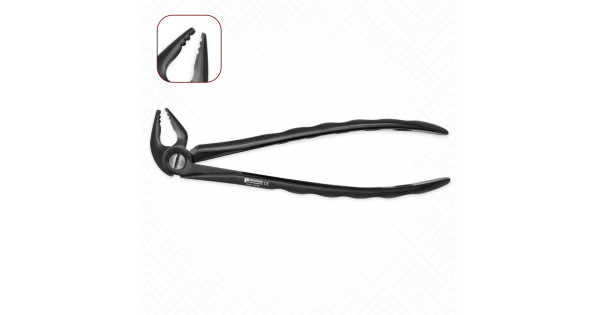 13N Gentle Extraction Forceps